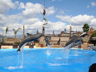 Spettacolo di delfini a Mundomar